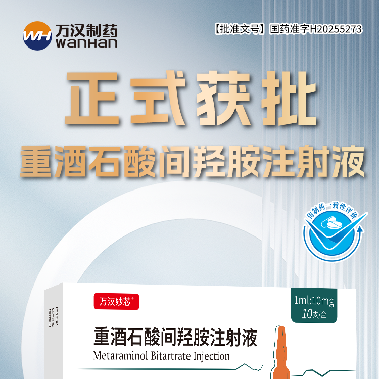 重酒石酸间羟胺注射液