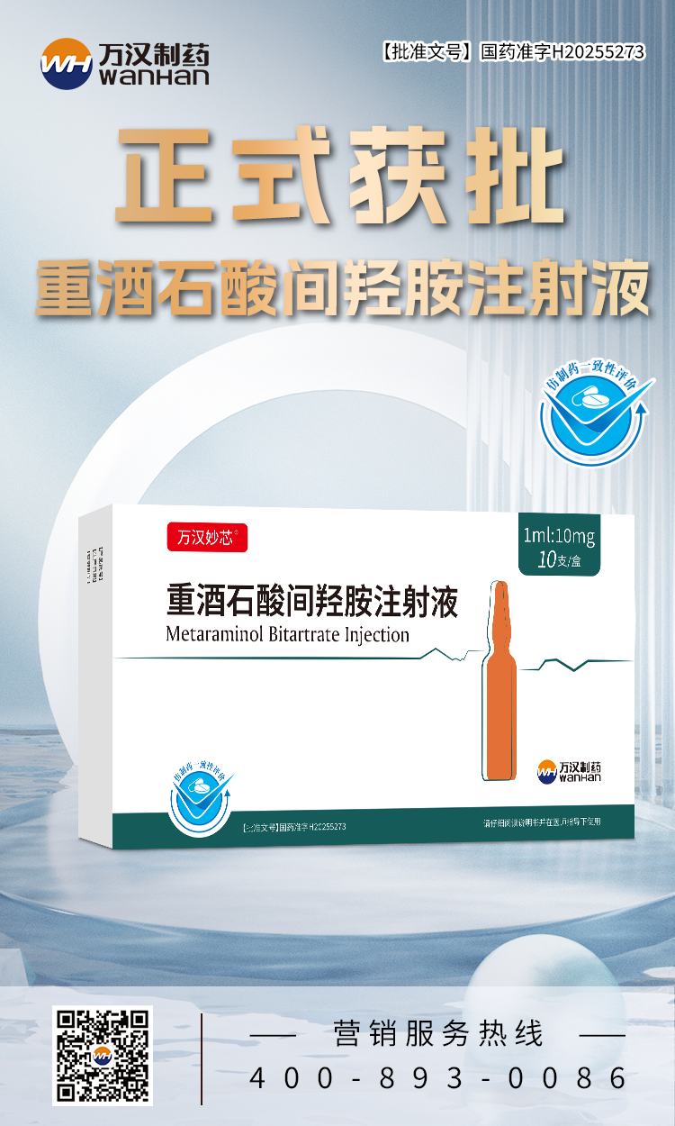 重酒石酸间羟胺注射液
