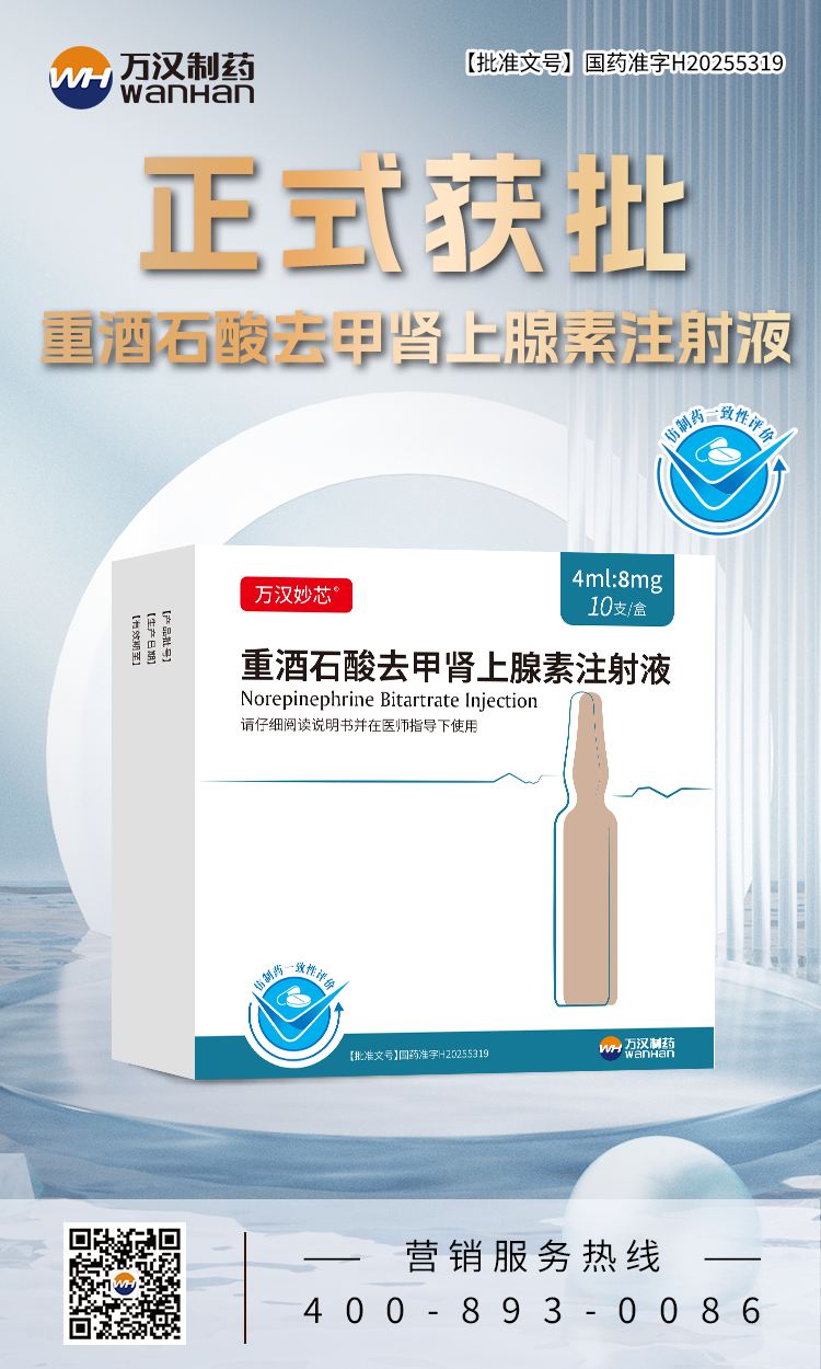 重酒石酸去甲肾上腺素注射液